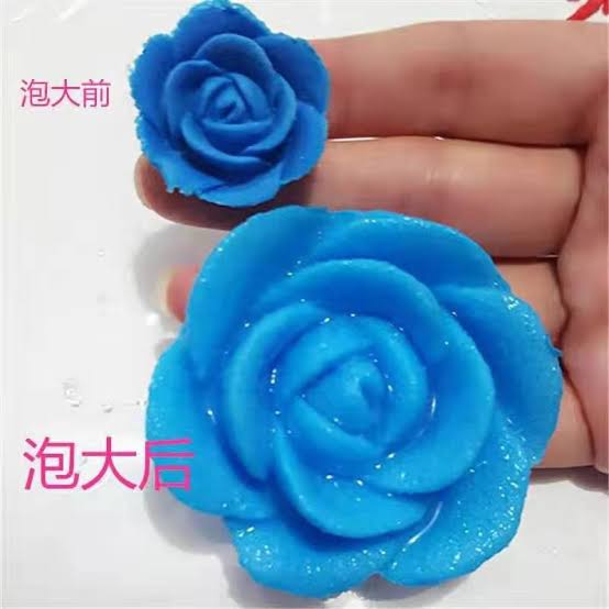 25pcs Growing Flowers In Water