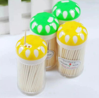 Eco-Friendly Bamboo Toothpicks – Disposable Use