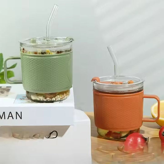 Modern Glass Tumbler with Lid & Straw Handle