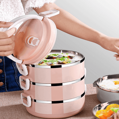 Portable Stainless Steel Lunch Carrier with Airtight Locking Lid