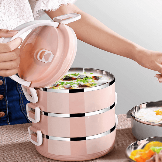 Portable Stainless Steel Lunch Carrier with Airtight Locking Lid