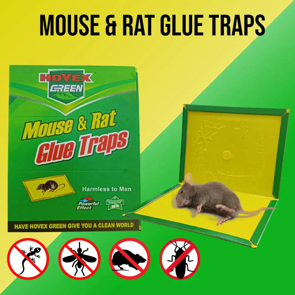 Rat killer Glue Board